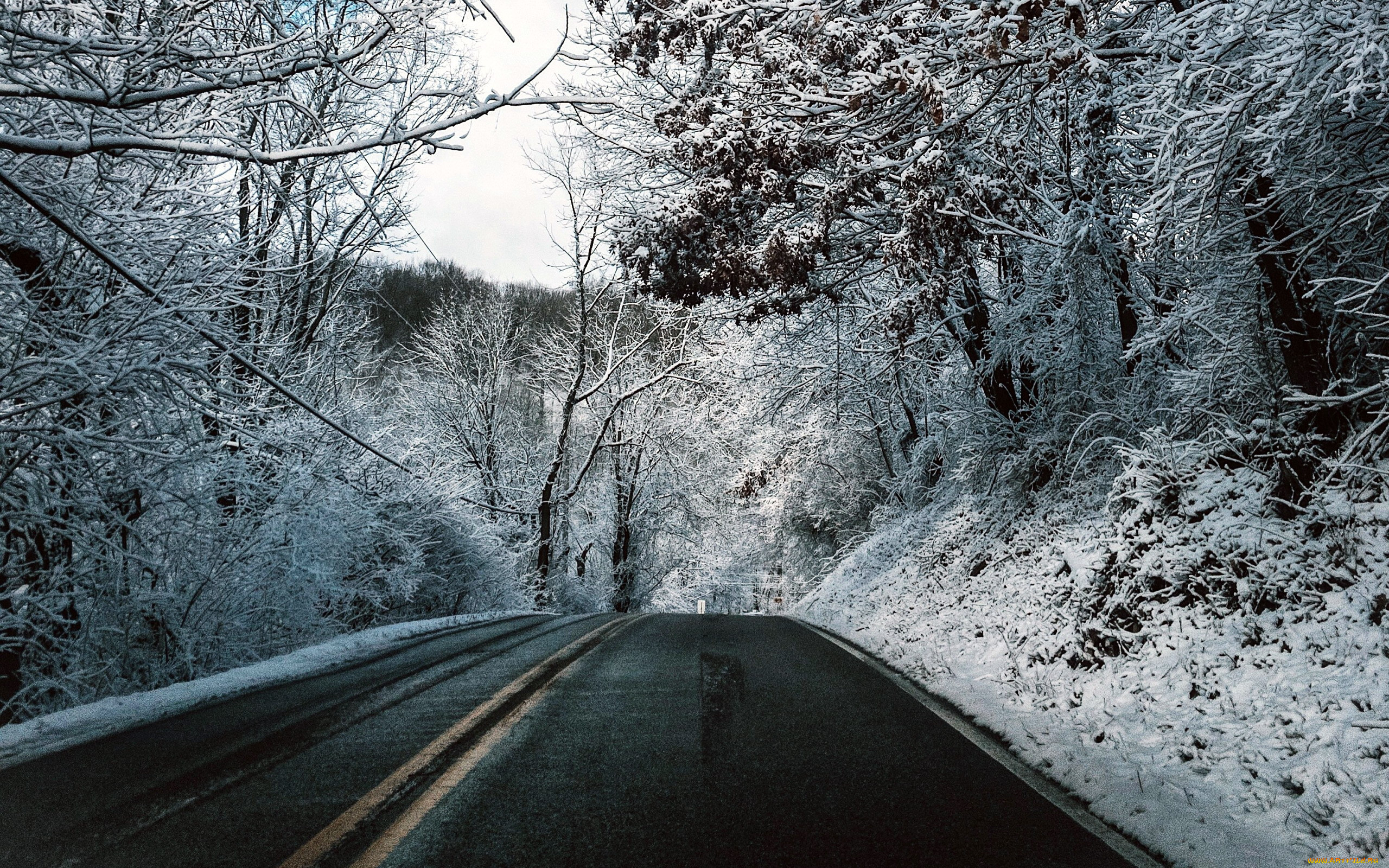 Тема зимней дороги. Заснеженная дорога. Зимняя дорога. Зимняя дорога в лесу. Заснеженная дорога в лесу.